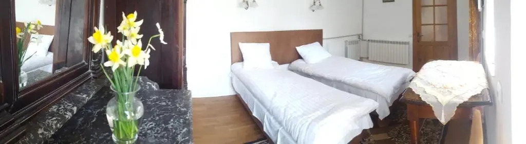 Room in An Old House