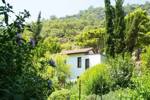 Dostlar Pension