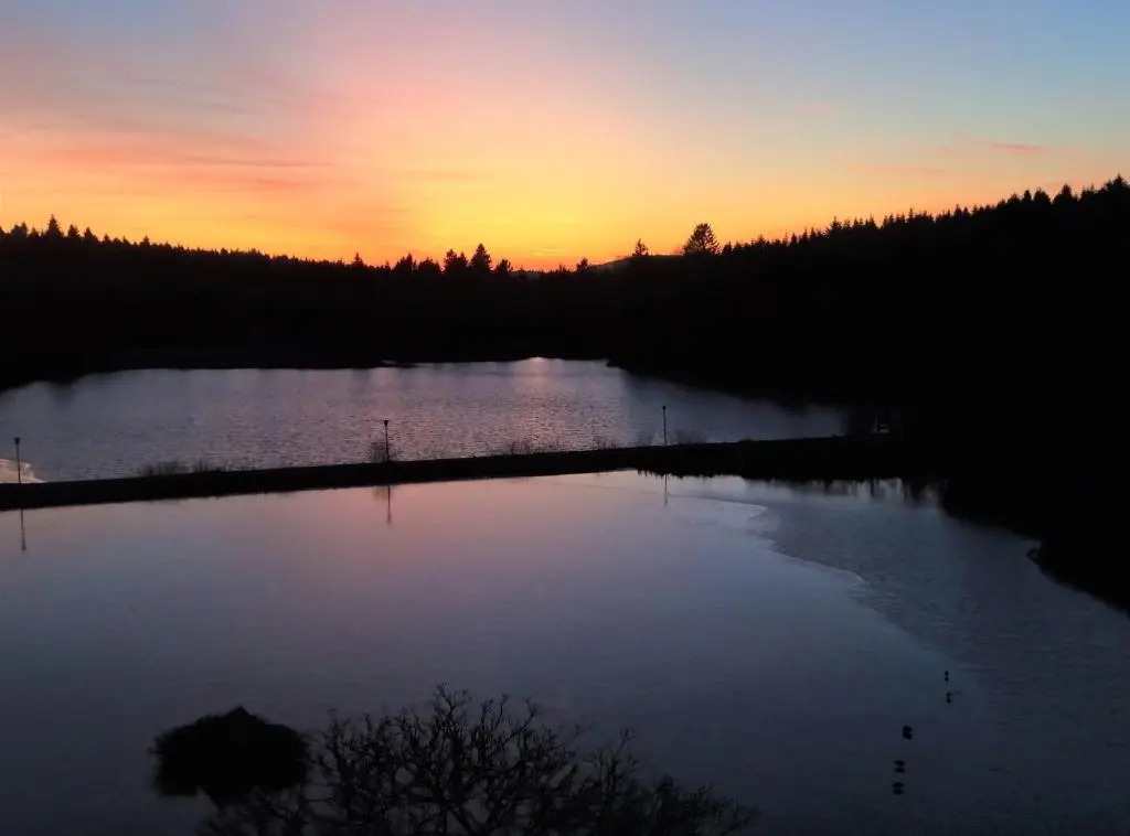 App Sweet Harz Haus am See 580