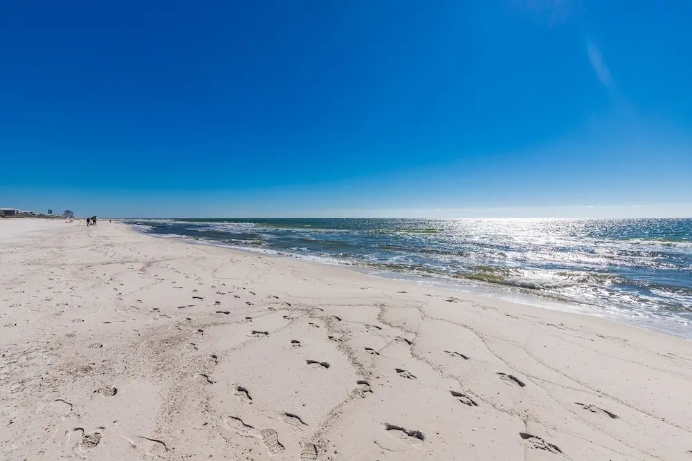 Gulf Shores Surf & Racquet 502b 2 Bedroom Condo