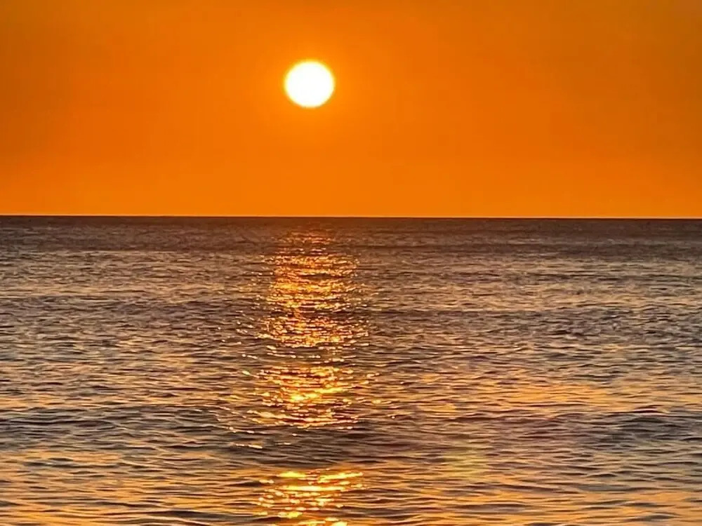 Tamarindo