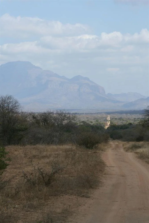 Thulani