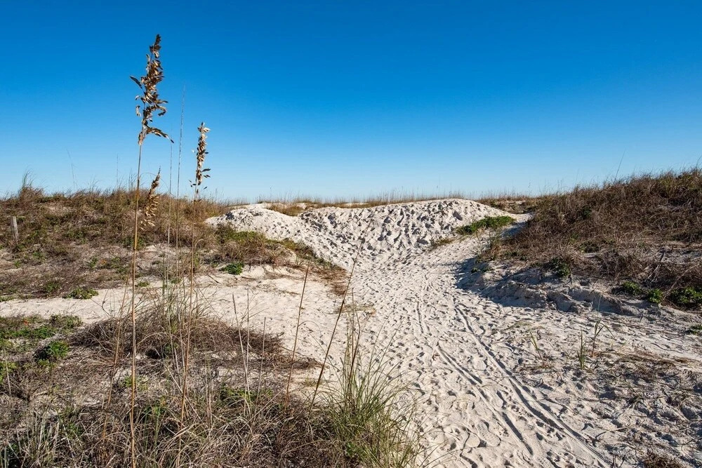 Beach Retreat #49292 - 5 Br Home