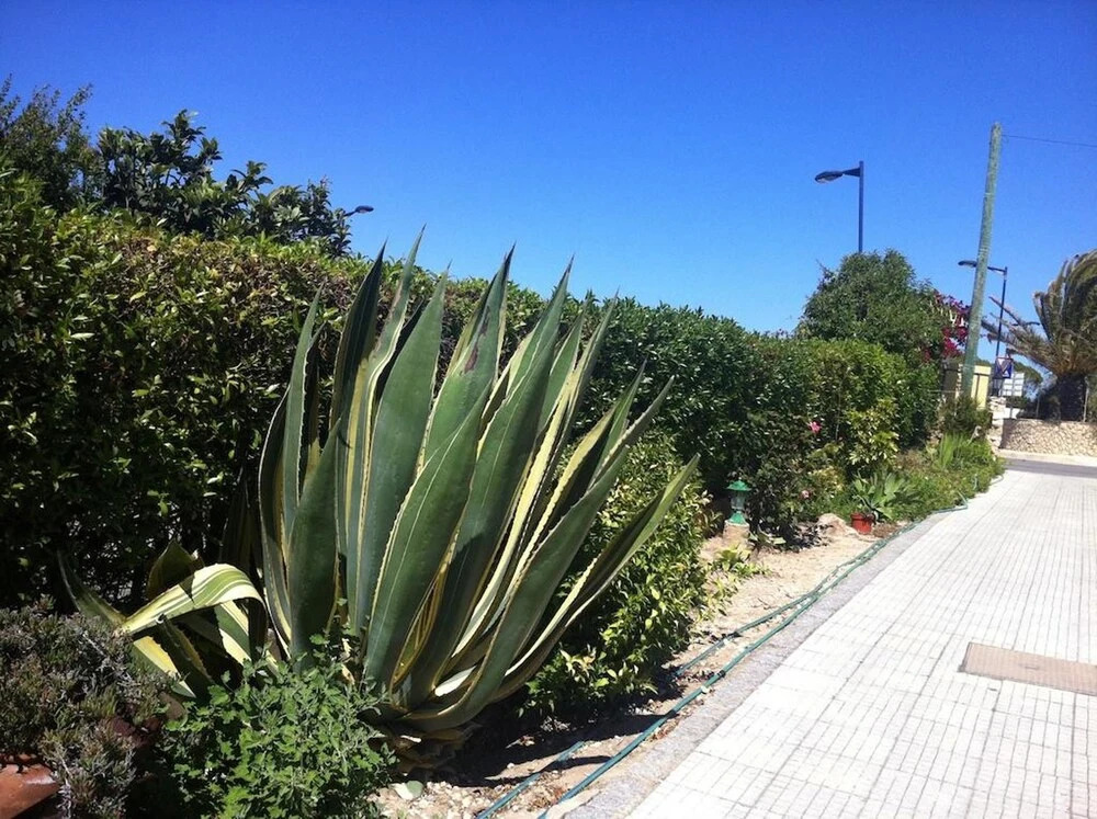 Apartment With 3 Bedrooms in Sagres, With Balcony and Wifi - 800 m From the Beach