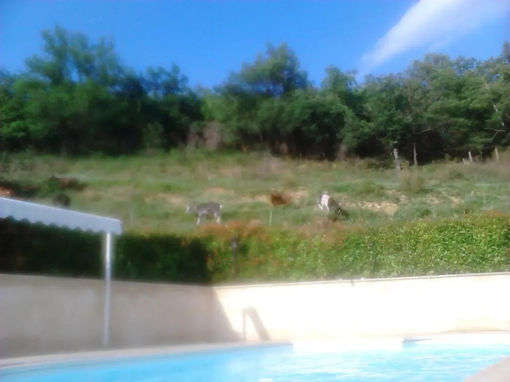 Les Tilleuls
