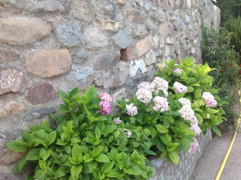 Holiday home Can Clerc