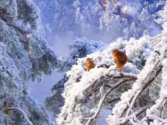 Jiuhua Mountain Remote Mountain Simple Home Stay
