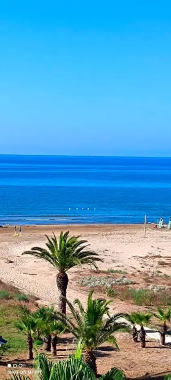 Il riflesso