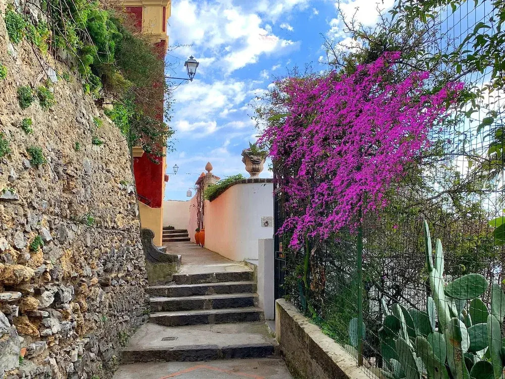 Amore Rentals - Villa Anna