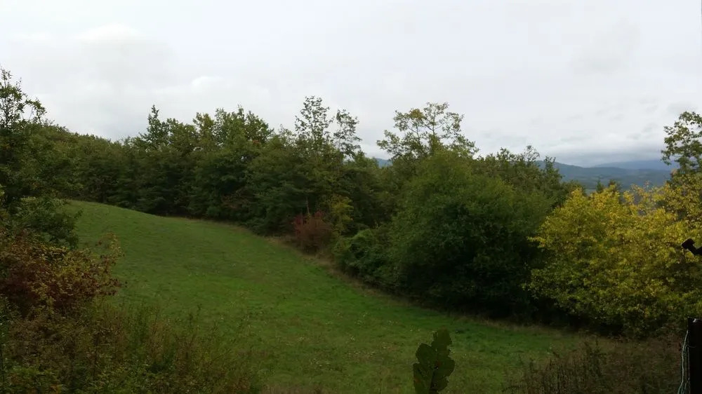 Tolasudolsa Rooms, Breakfast & Mountain Bike