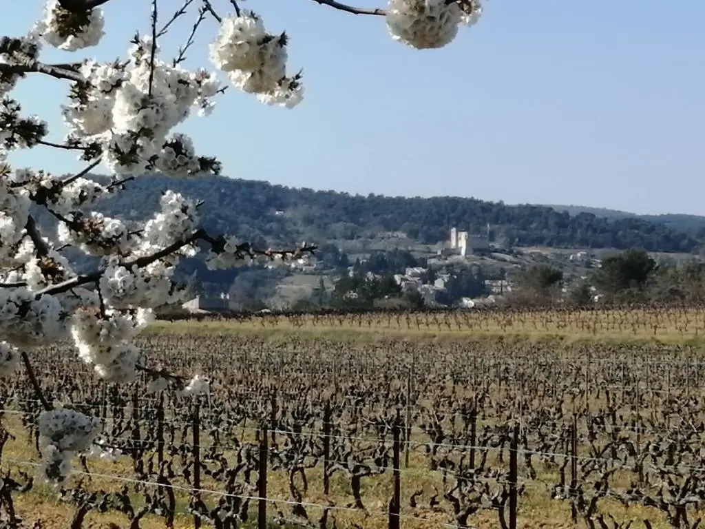 AU VILLADIOR - Vaison la Romaine