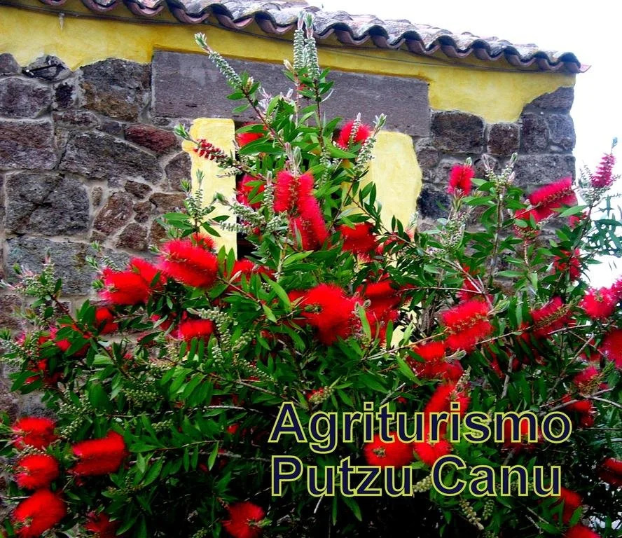 welcome baike Agriturismo nuraghe Putzu Canu