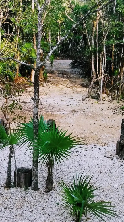 Tooj Cheel Lodge Tulum