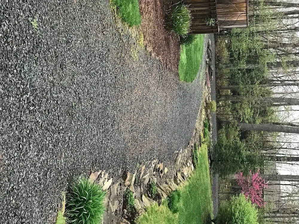 Some Kind of Wonderful