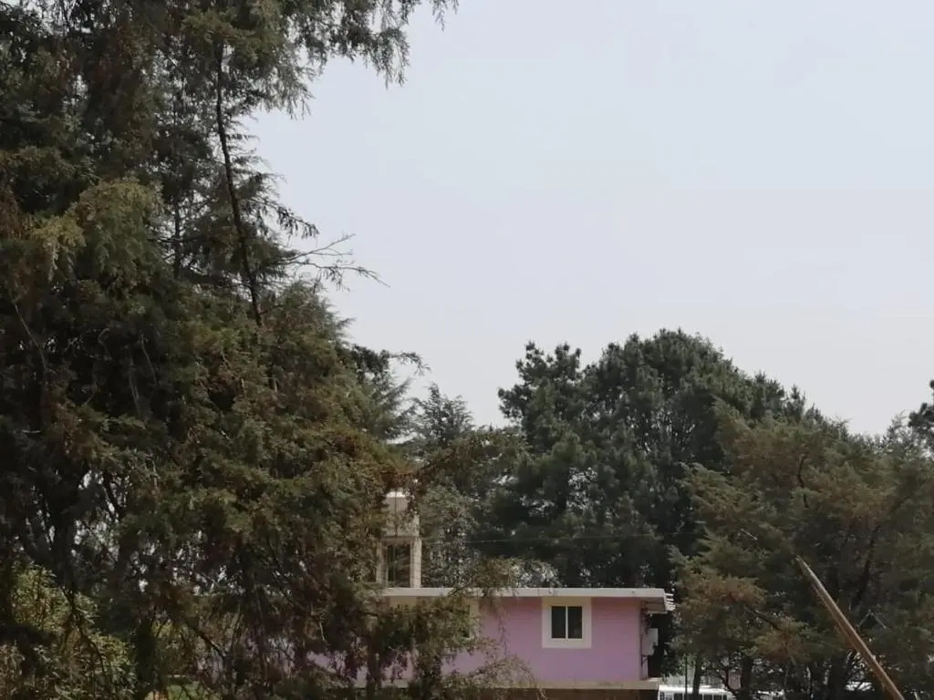 Hotel Bosques