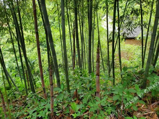 Wudang Mountain Xianyuan Farmhouse