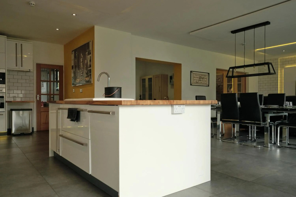 Modern Spacious House