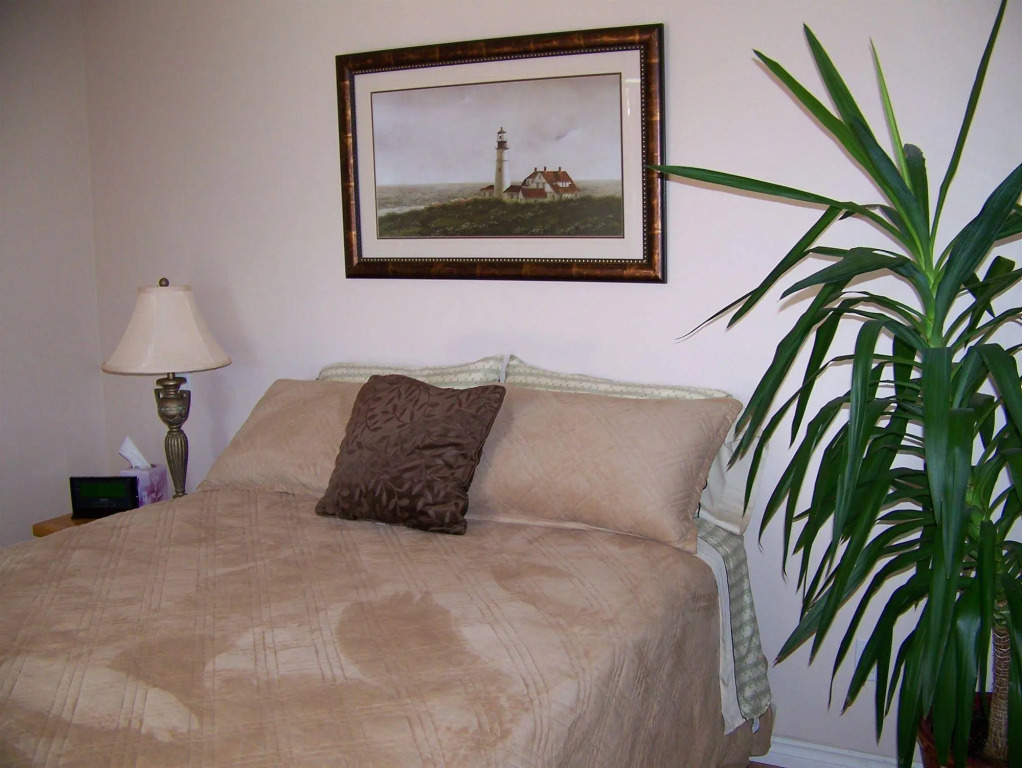 Moonlit Cove B&B