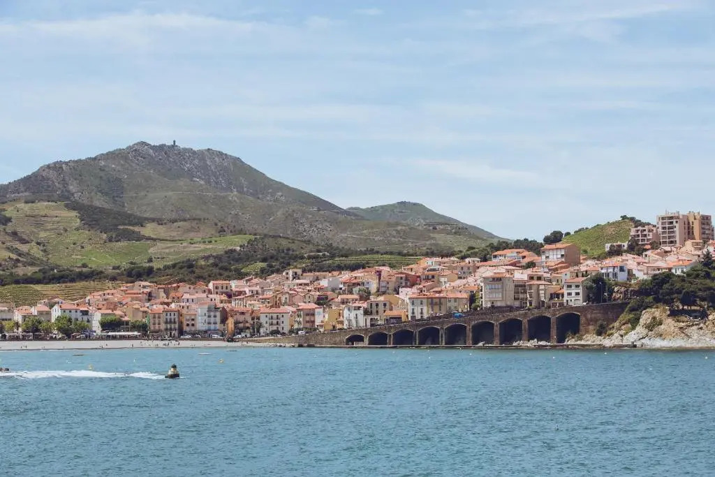 Regina's Banyuls - Top view