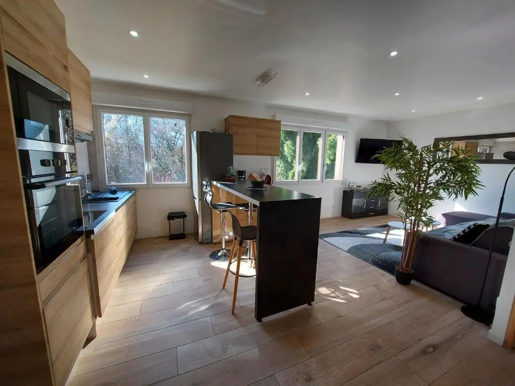 Superbe appartement au centre de St Jorioz