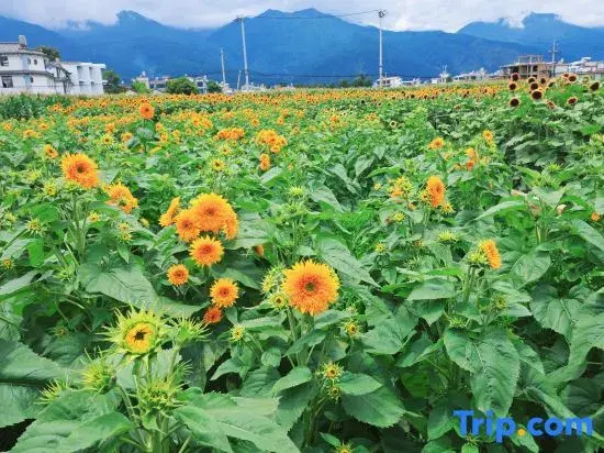 Yunqi·Dali | Parent-Child•Garden•Mountain View Hotel (Erhai S Bay Ecological Corridor Branch)