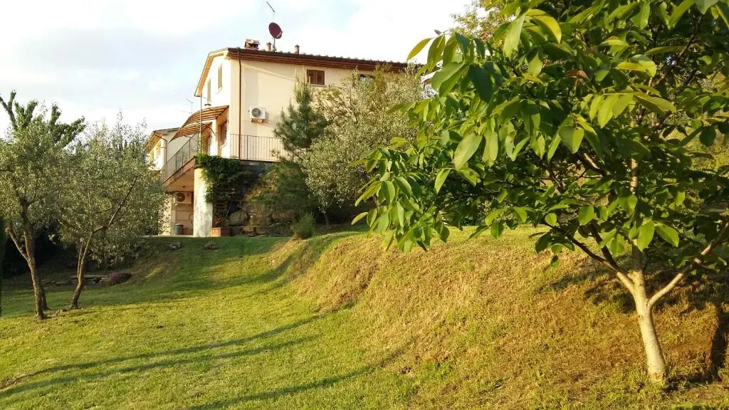 I 3 Cipressi