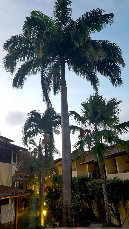 Apart Hotel Jardim