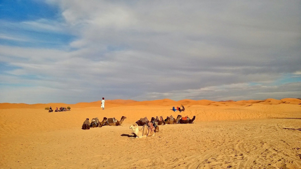 Hotel ksar merzouga