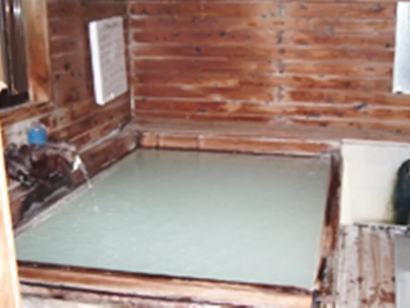 Onsen Inn 36So