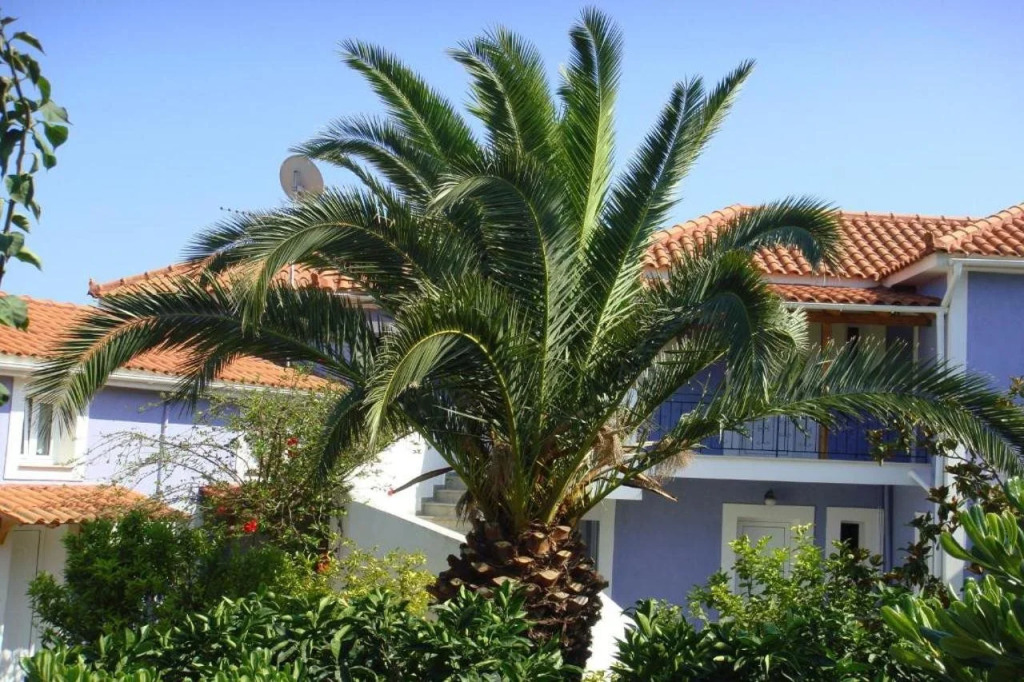 Villa Eliza