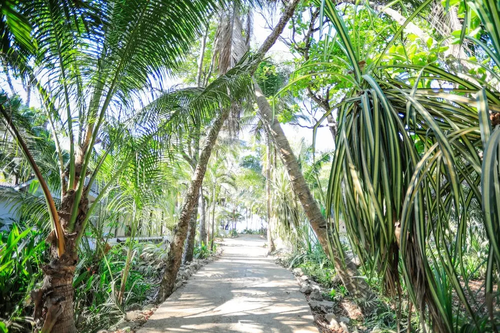 Nekaui Beachfront Villa 1 - Experience Nature
