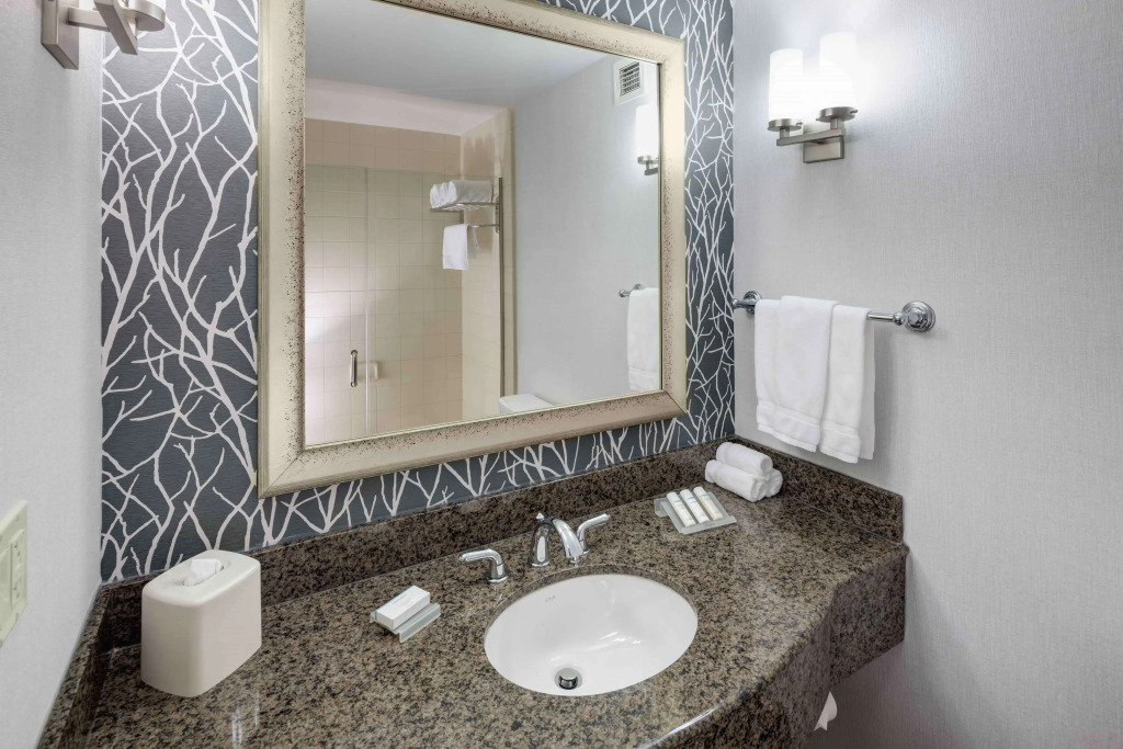 Hilton Garden Inn Detroit/Novi