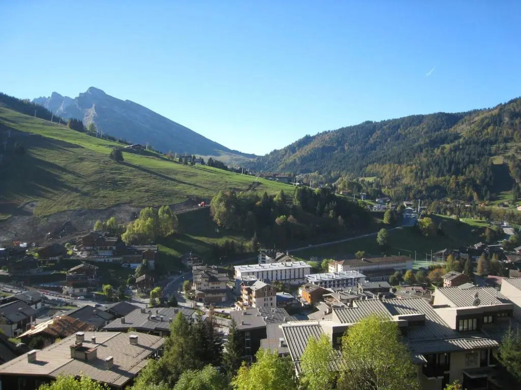 Appartement La Clusaz, 1 pièce, 4 personnes - FR-1-459-105