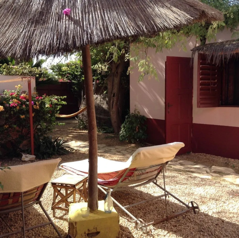 Baobab Belge