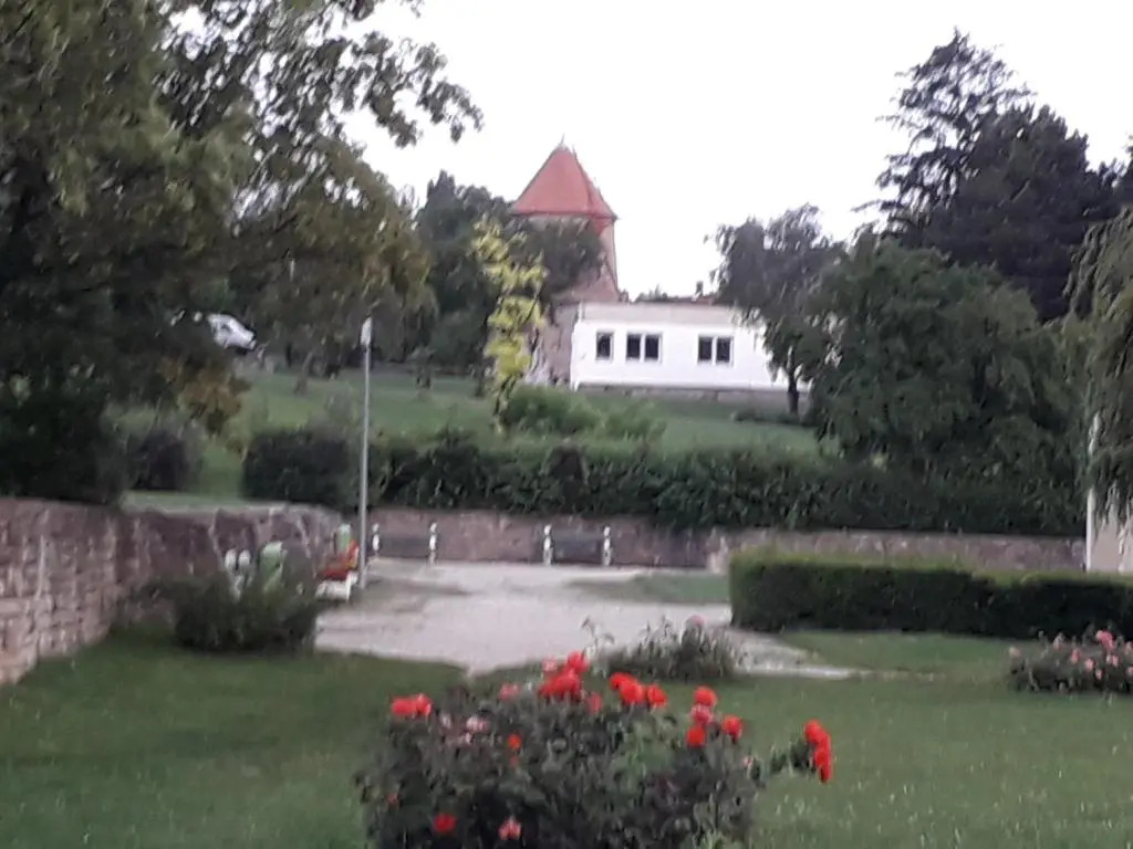 Fényes Vinorium