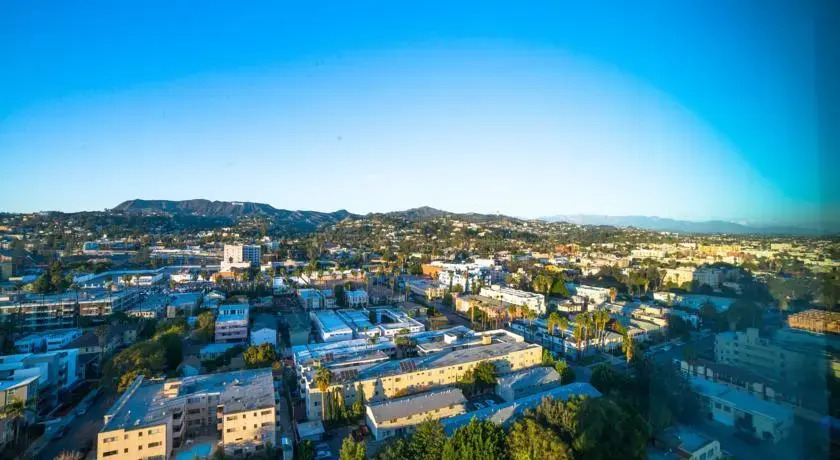 Hollywood Scorsese Apartment