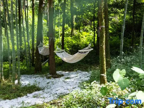 Linxijian Homestay (Bifengxia Scenic Area)
