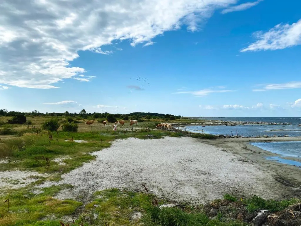 Hälleviks Camping