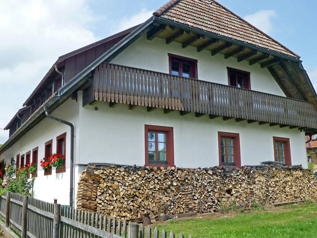 Luscious Apartment in Rickenbach with Free WiFi