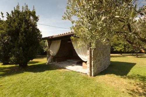 La Cicala