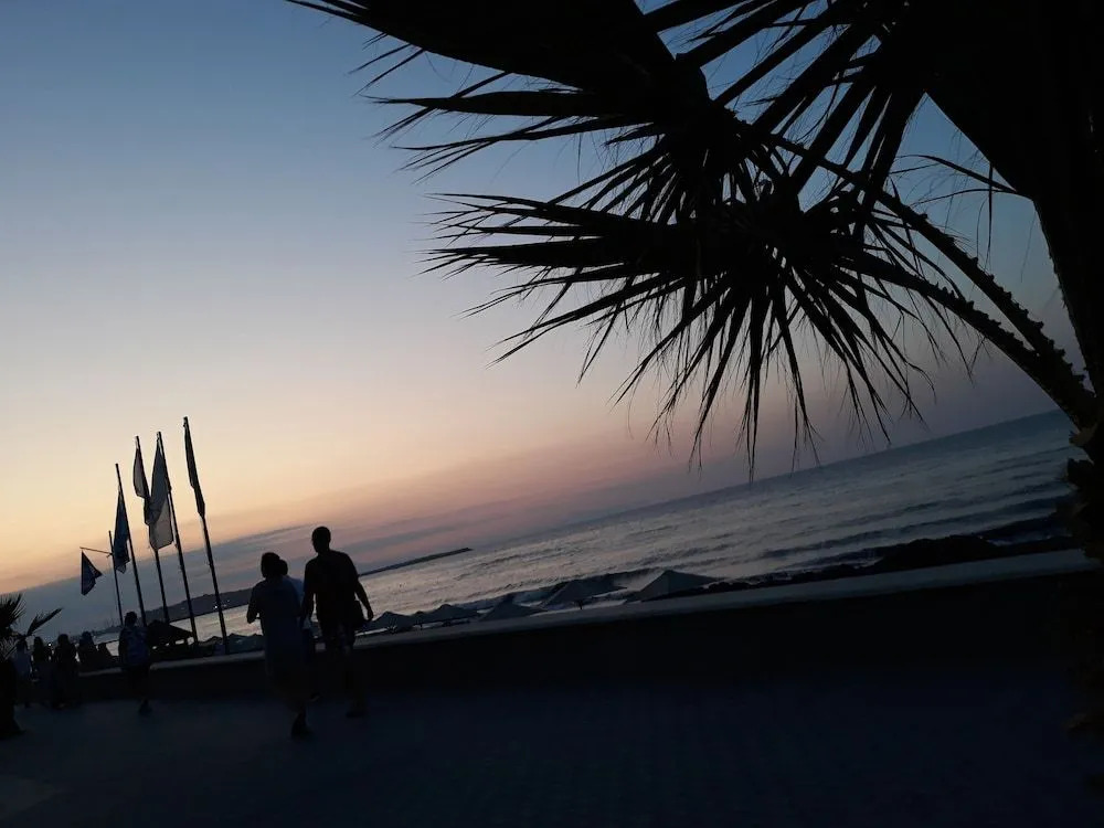 Calmare suites
