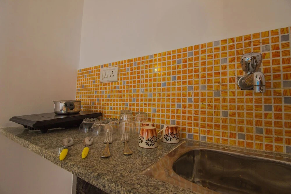 OYO 16095 Home Elegant Studio Anjuna