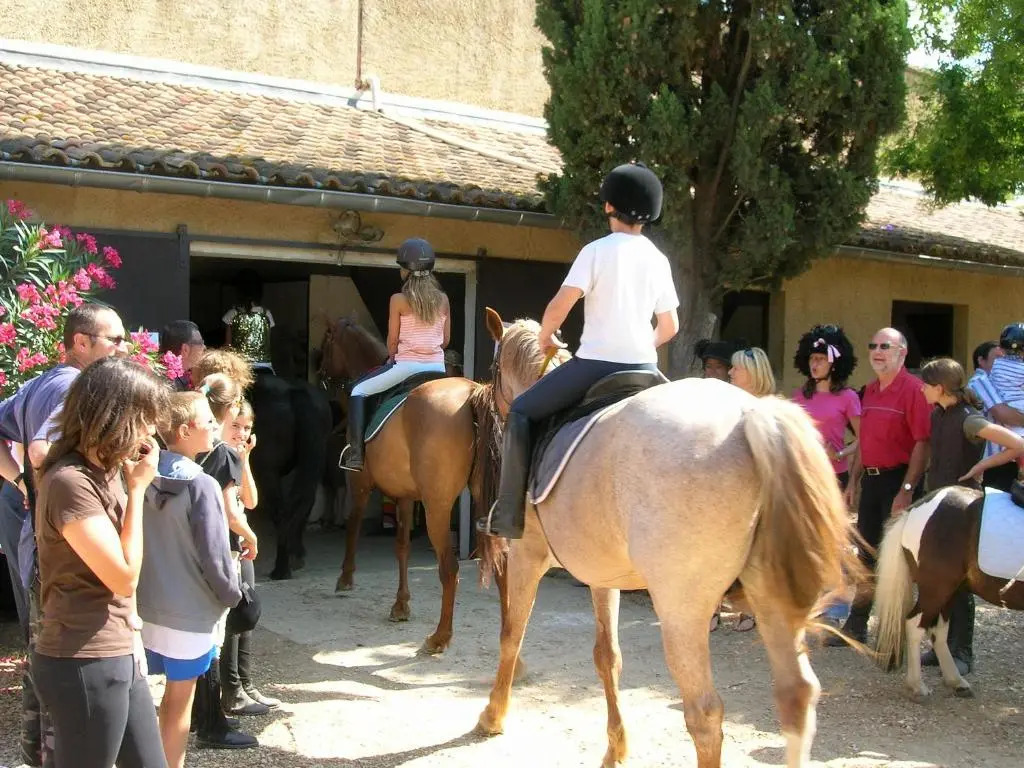 Les Centaurines