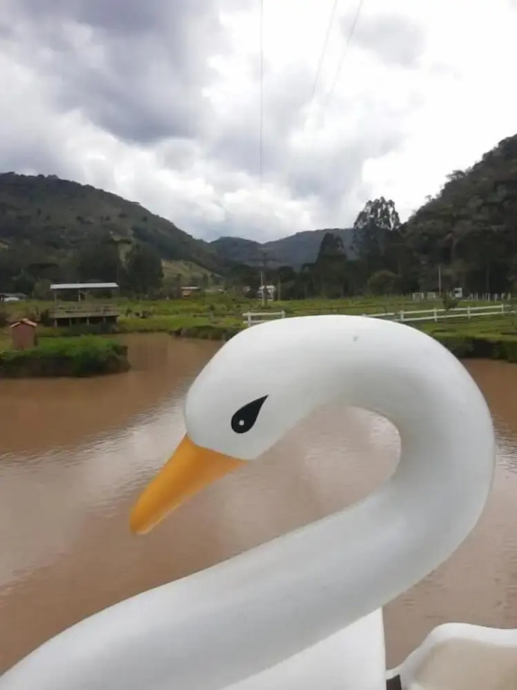 Pousada Nó de Pinho
