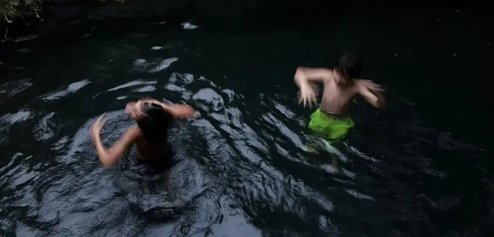Bosque de Cuevas
