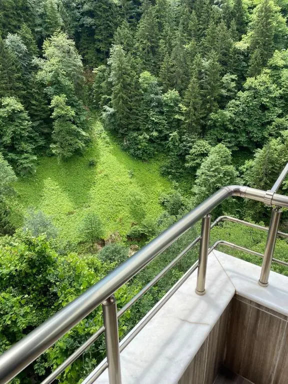 Fairytale Nature House - Uzungöl
