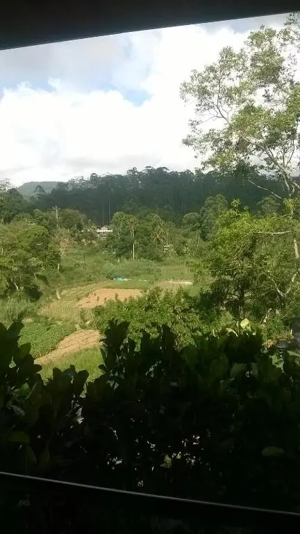 Ella Breeze Homestay