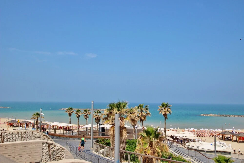 Amazing New 2BR Apt on Hilton Beach