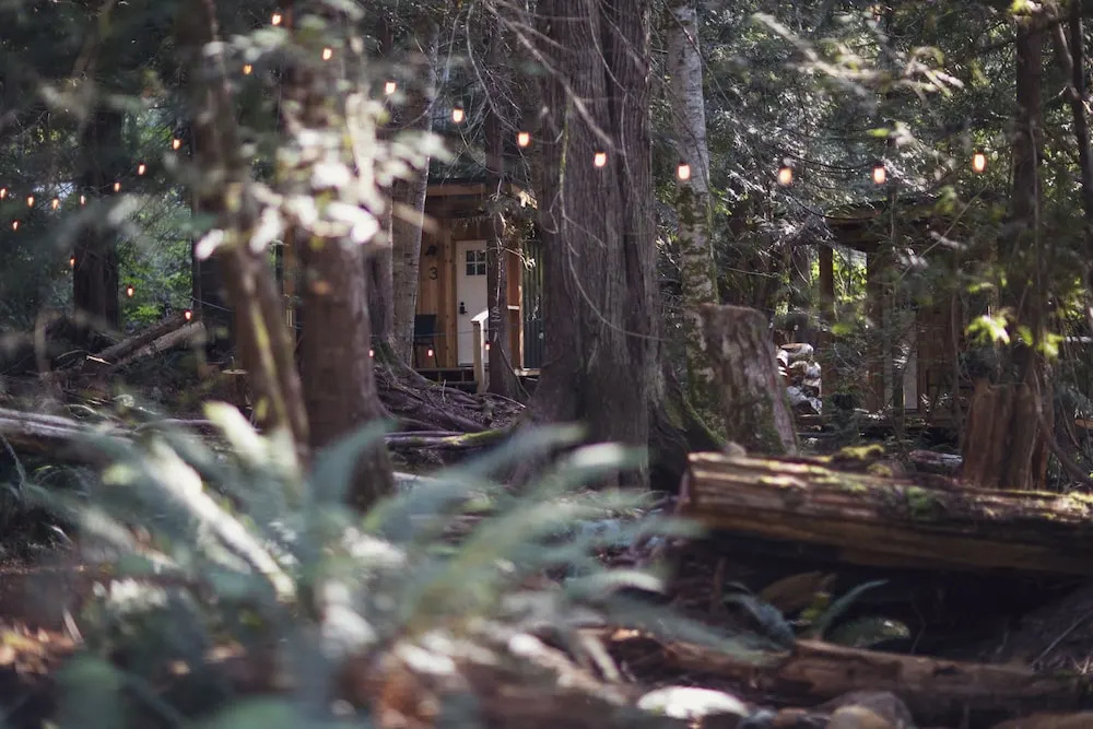 Heartwood Retreats