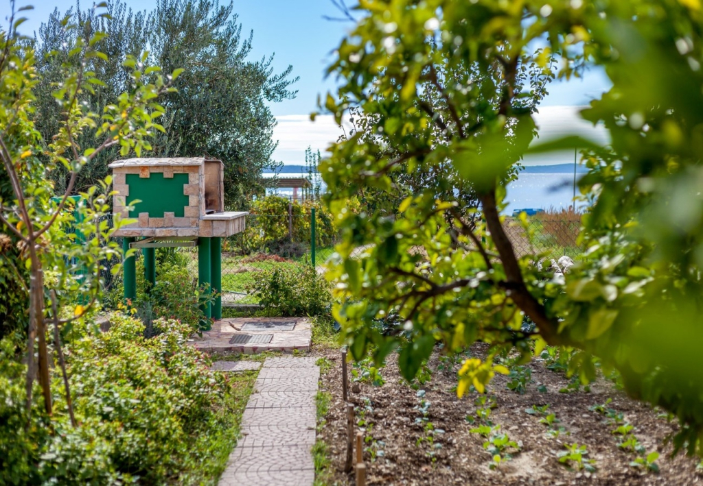 Holiday house Zeljka - 60 m from sea: Podstrana, Riviera Split
